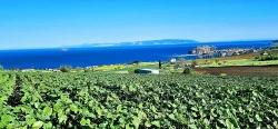 Land Suitable For Cooperative And Site Projects With 50 Apartments And Full Sea And Nature Views