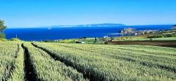 Land Suitable For Cooperative And Site Projects With 50 Apartments And Full Sea And Nature Views