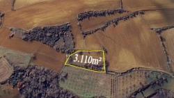 Investment Opportunity: Guaranteed High Profit In The Short Term For Those Who Want To Buy And Sell