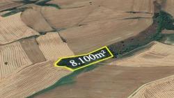 An Unmissable Investment Opportunity: 8,100 M² Of Bargain Land In The Oruç Beyli Neighborhood Of Tekirdağ.