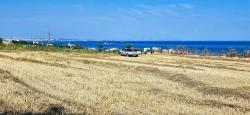 Field For Sale in Barbaros Nbh. Süleymanpaşa Kumbağ - Housing Zoned - 8.500 m²
