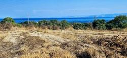 Field For Sale in Barbaros Nbh. Süleymanpaşa Kumbağ - Housing Zoned - 8.500 m²