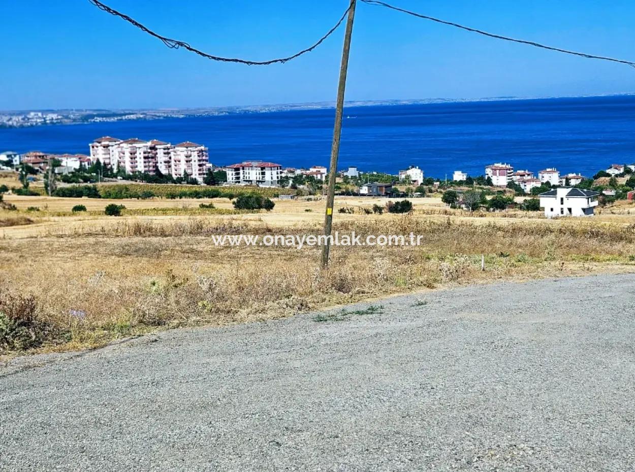 Opportunity Land Suitable For Building Your Detached House In Your Pregnant House For Urgent Sale In Tekirdag Barbarosta