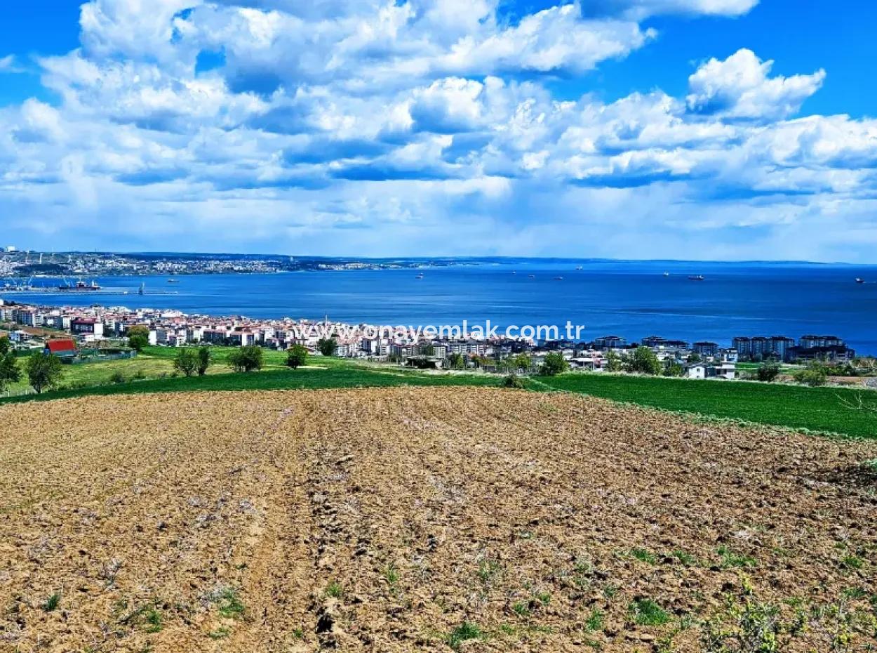 45 Flats Full Sea View Residential Zoned Land For Urgent Sale Tekirdag Barbarosta
