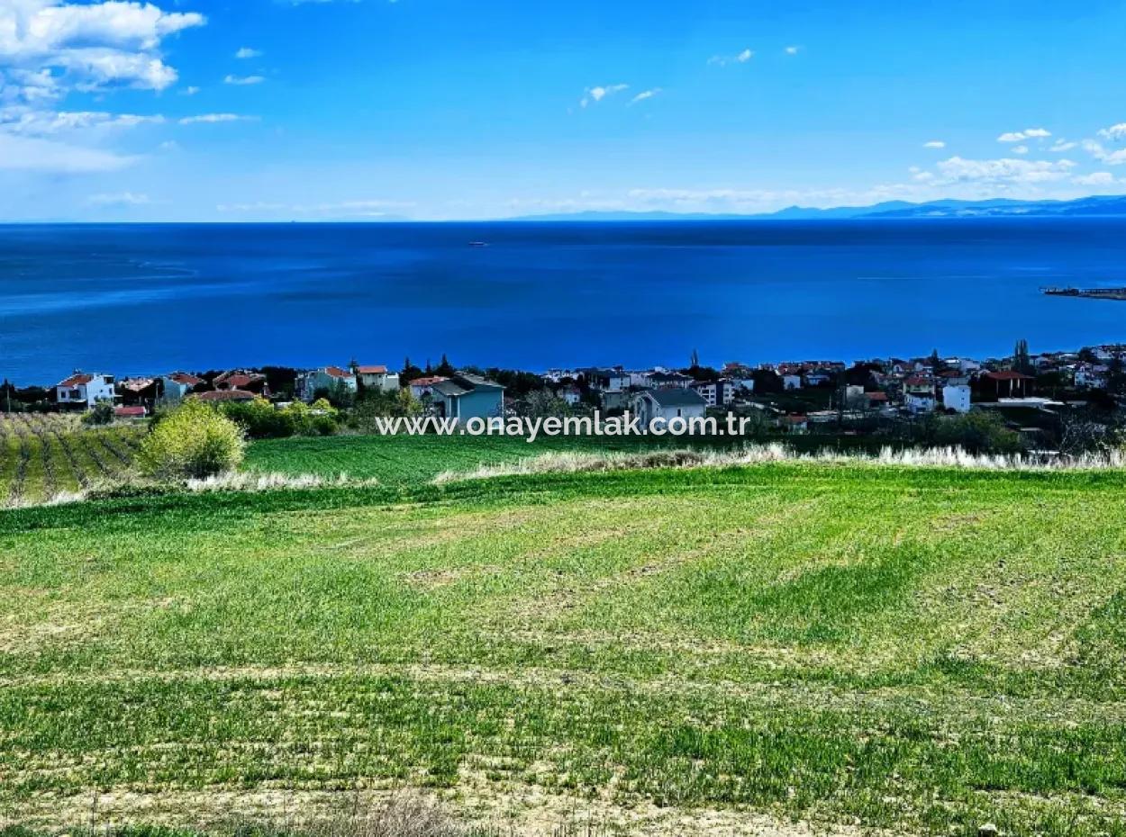 Residential Zoned Land With Full Sea View Suitable For The Construction Of A 42-Apartment Cooperative Site For Urgent Sale In Tekirdag Barbarosta