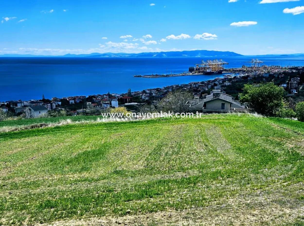 Full Sea And Nature Landscape Infrastructure Ready Luxury 45 Flats Cooperative And Coupon Land Suitable For Site Construction