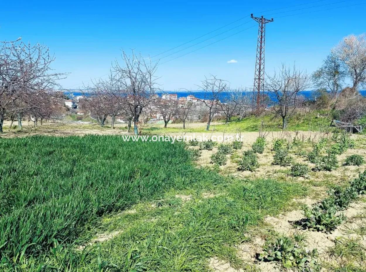 Investment Opportunity: 615 M2 Corner Land For Sale In Tekirdag Barbaros - Urgent Sale, Sea And Nature View, 0 Zoned