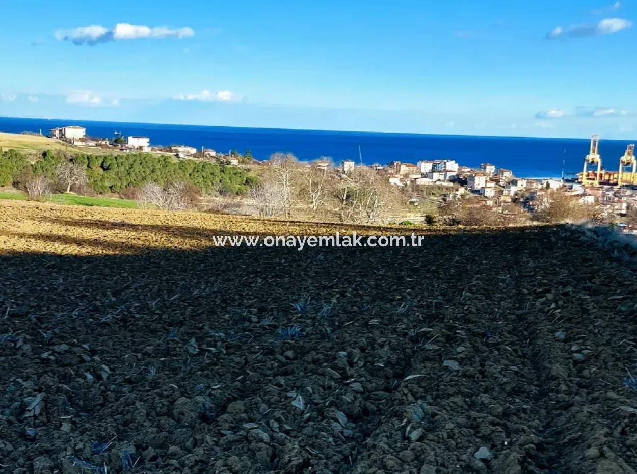 Unique 17.800 M2 Residential Zoned Land Located In Süleymanpaşa Barbaros Area Of Tekirdağ