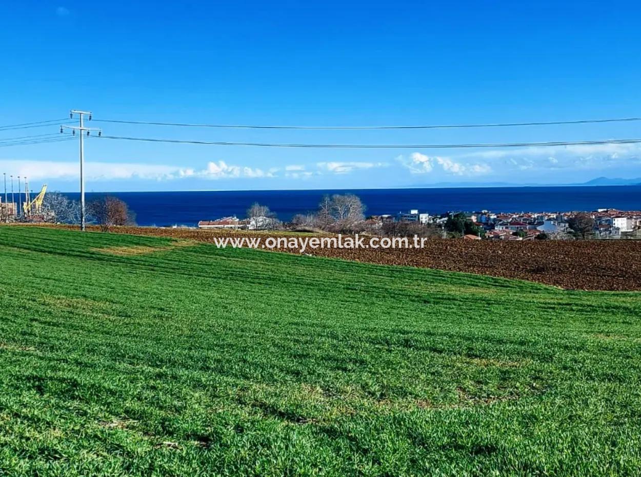 Located In Süleymanpaşa Barbaros, Tekirdag, This 11.100 M2 Residential Land Is Located In A Great Location.