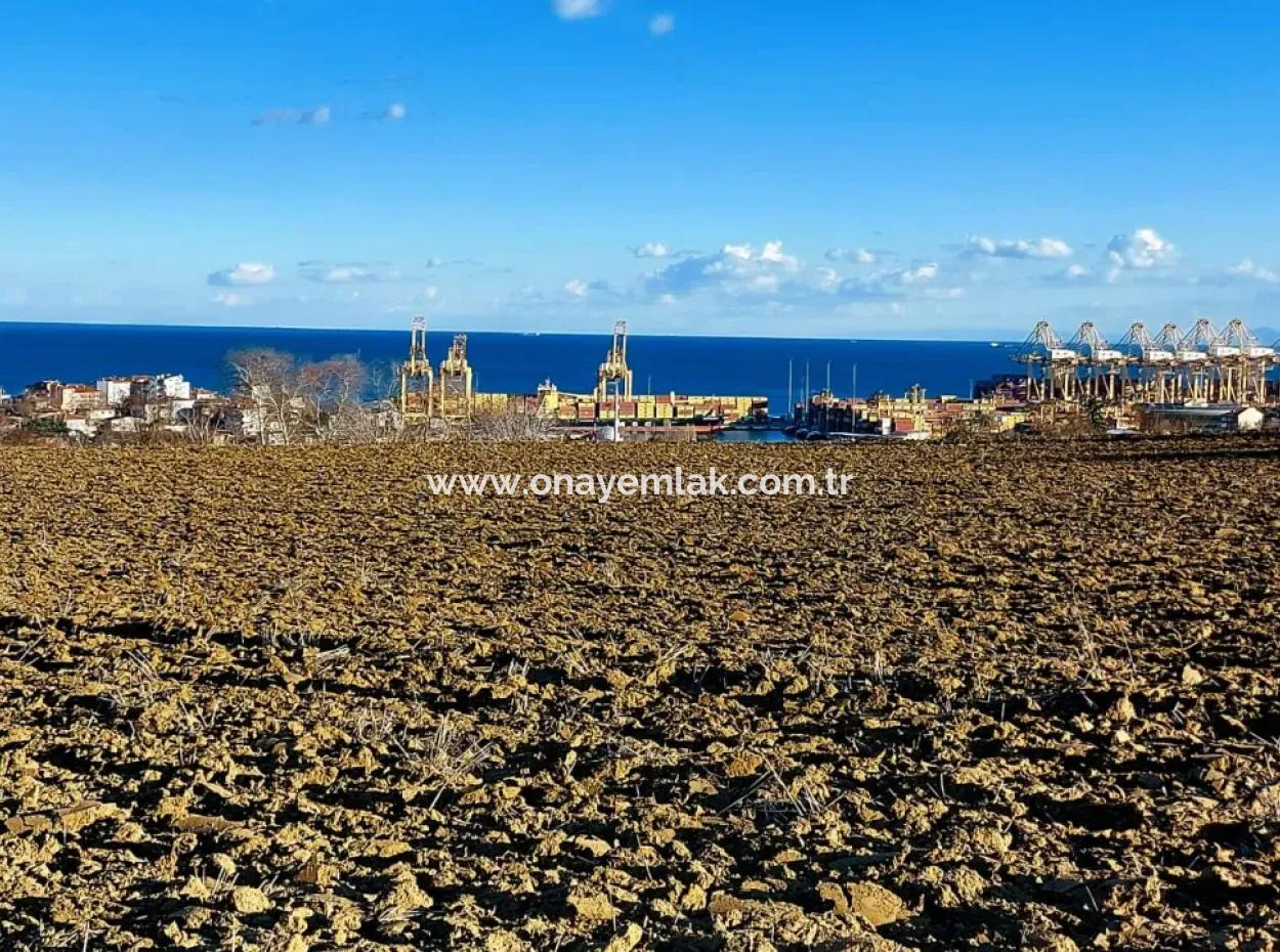 17.100 M2 Residential Zoned Field With Tremendous View, Close To Tekirdağ Barbaros Asyaport Port