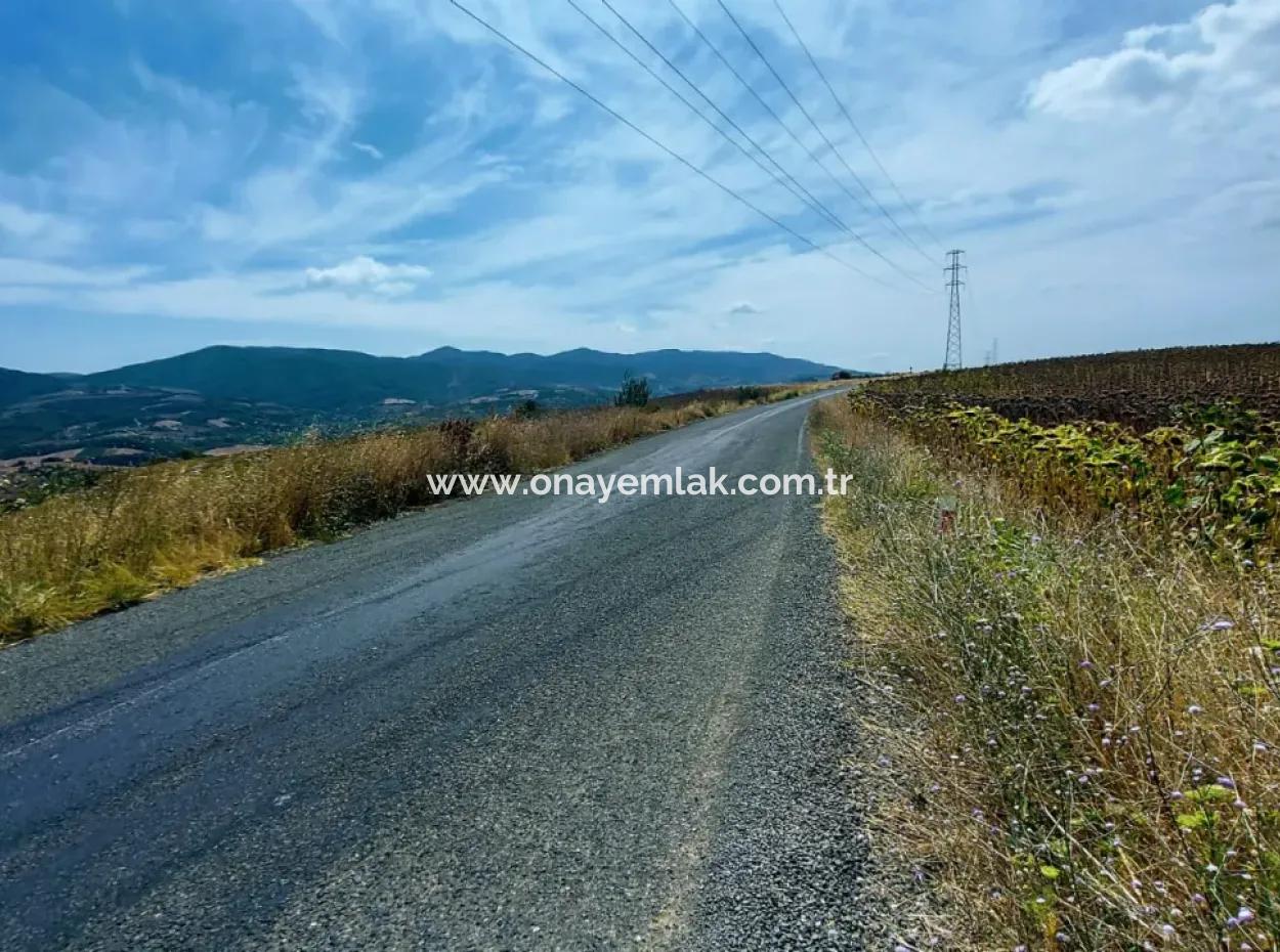 10.500 M2 Investment Field With The Advantage Of Open Road In Summer And Winter In Tekirdağ Çanakçı District! Great Opportunity For Family Picnic, Viticulture And Hobby Garden