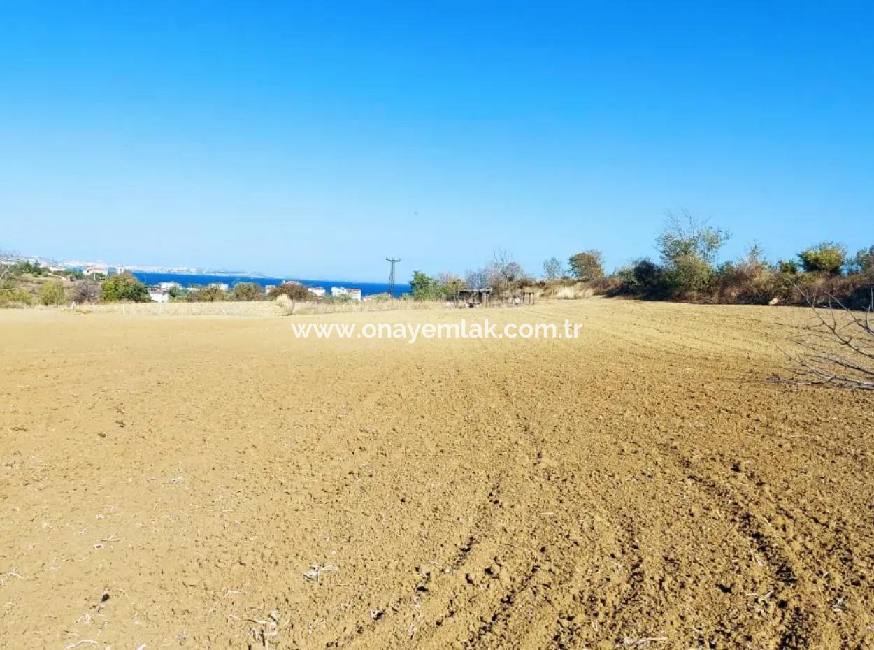 Investment Opportunity: 615 M2 Corner Land For Sale In Tekirdag Barbaros - Urgent Sale, Sea And Nature View, 0 Zoned