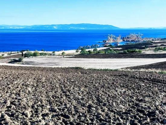 High Profit Guarantee Invest In 44 Flats Of Mass Housing Area Give To Contractors Double Your Profits