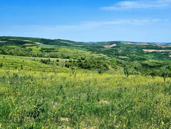 A Great Opportunity To Build Your Farm In Your Family For Urgent Sale 2,600 Acres Of Pasture Front