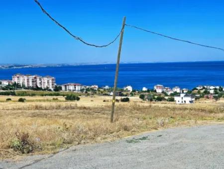 Opportunity Land Suitable For Building Your Detached House In Your Pregnant House For Urgent Sale In Tekirdag Barbarosta