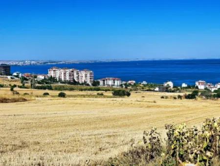 Opportunity Land Suitable For Building Your Detached House In Your Pregnant House For Urgent Sale In Tekirdag Barbarosta