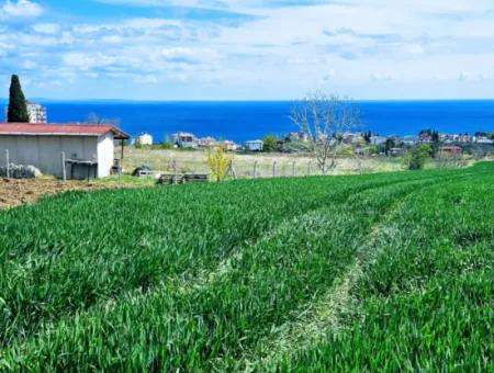 Suitable For Urgent Sale Cooperative And Site In Tekirdag Barbarosta. High Profit Guarantee To The Investor