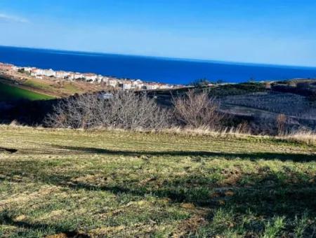 1,150 Sqm Plot Close To Ramada Hotel In Tekirdag Suleymanpasa Barbaros - Topagac