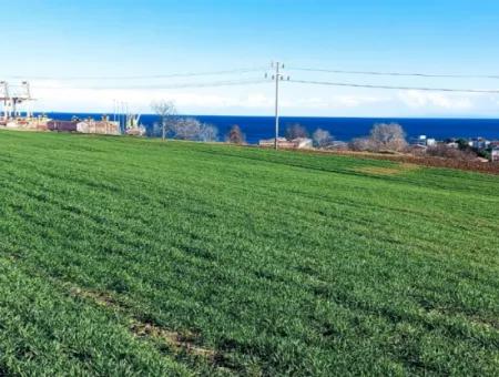 Located In Süleymanpaşa Barbaros, Tekirdag, This 11.100 M2 Residential Land Is Located In A Great Location.