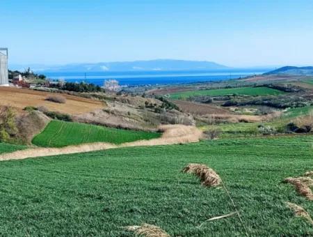 Land For Sale In 19,500 Square Meters Of Commercial And Industrial Area In Nusuratlı Area Of Tekirdağ