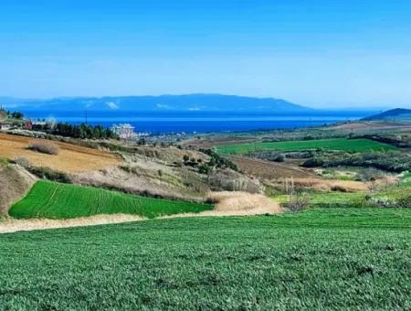 Land For Sale In 19,500 Square Meters Of Commercial And Industrial Area In Nusuratlı Area Of Tekirdağ