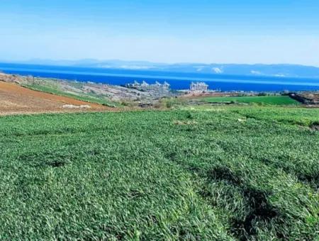 Land For Sale In 19,500 Square Meters Of Commercial And Industrial Area In Nusuratlı Area Of Tekirdağ