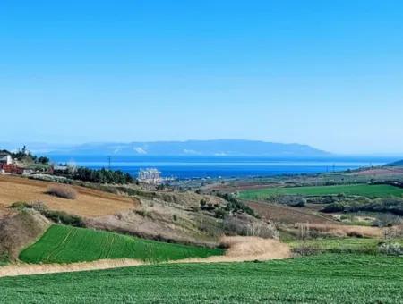 Land For Sale In 19,500 Square Meters Of Commercial And Industrial Area In Nusuratlı Area Of Tekirdağ