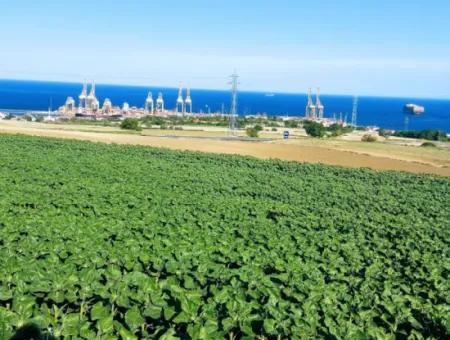 The 17,980 M2 Plot In Barbaros, Tekirdag, Is Facing The Asyaport Harbor Road.