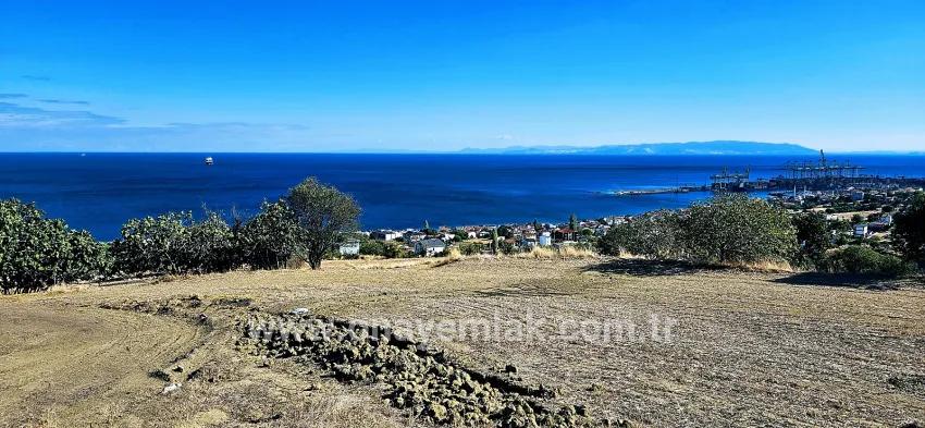 Для продажи Сюжет в Barbaros Süleymanpaşa Kumbağ - Под Жилье застройку - 2.780 m²