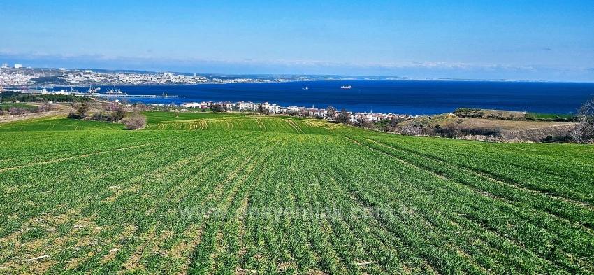 Участок С Панорамным Видом На Море И Природу, Подходящий Для Строительства 75 Вилл В Текирдаге Барбароста