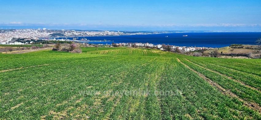 Для продажи Земля в Barbaros Süleymanpaşa Kumbağ - Под Жилье застройку - 19.533 m²
