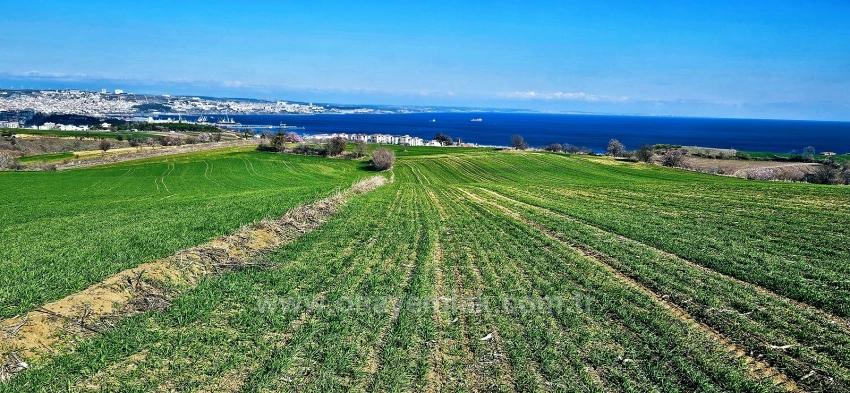 Участок С Панорамным Видом На Море И Природу, Подходящий Для Строительства 75 Вилл В Текирдаге Барбароста