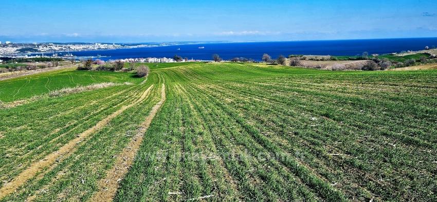 Для продажи Земля в Barbaros Süleymanpaşa Kumbağ - Под Жилье застройку - 19.533 m²
