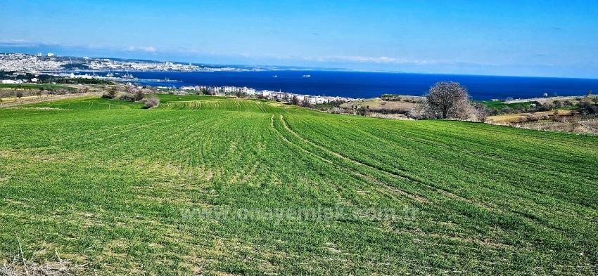 Для продажи Земля в Barbaros Süleymanpaşa Kumbağ - Под Жилье застройку - 19.533 m²