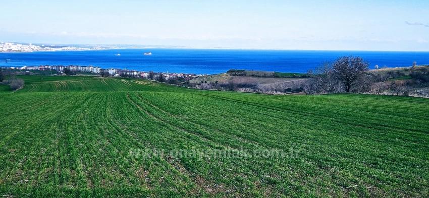 Участок С Панорамным Видом На Море И Природу, Подходящий Для Строительства 75 Вилл В Текирдаге Барбароста