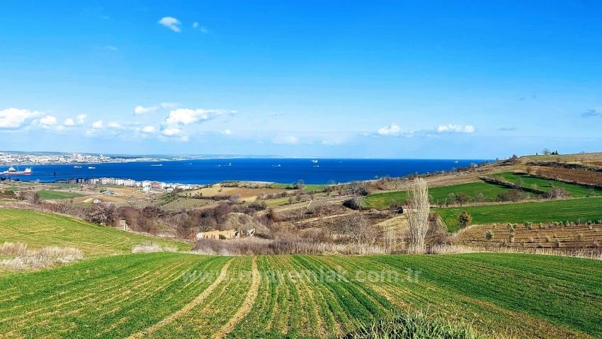 Участок Земли, Подходящий Для Строительства 8 Вилл С Панорамным Видом На Море И Природу В Текирдаге Барбароста