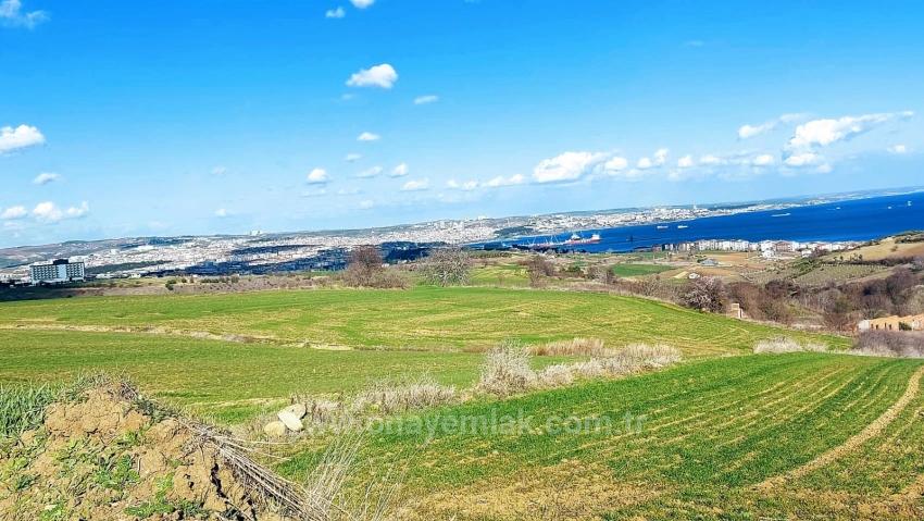 Участок Земли, Подходящий Для Строительства 8 Вилл С Панорамным Видом На Море И Природу В Текирдаге Барбароста