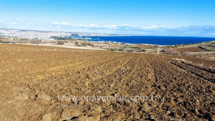 Для продажи Земля в Barbaros Süleymanpaşa Kumbağ - Под Вилла застройку - 6.350 m²