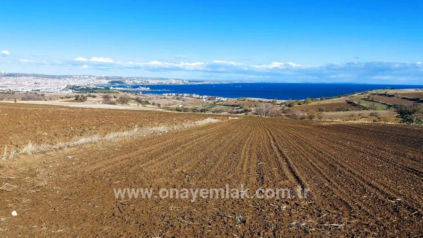 Для продажи Земля в Barbaros Süleymanpaşa Kumbağ - Под Вилла застройку - 6.350 m²