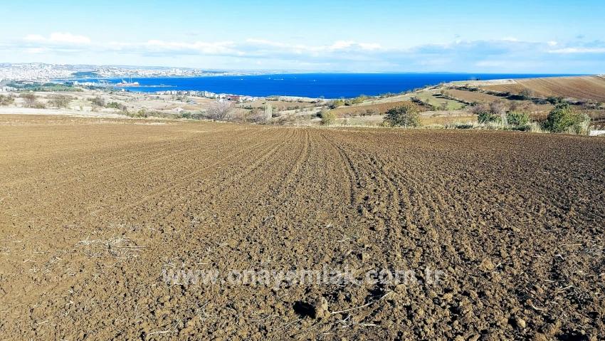 Для продажи Земля в Barbaros Süleymanpaşa Kumbağ - Под Вилла застройку - 6.350 m²