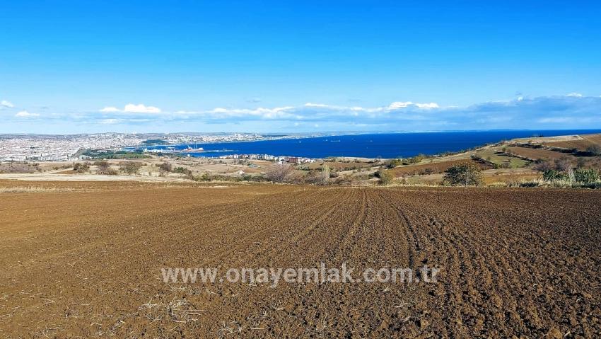 Для продажи Земля в Barbaros Süleymanpaşa Kumbağ - Под Вилла застройку - 6.350 m²