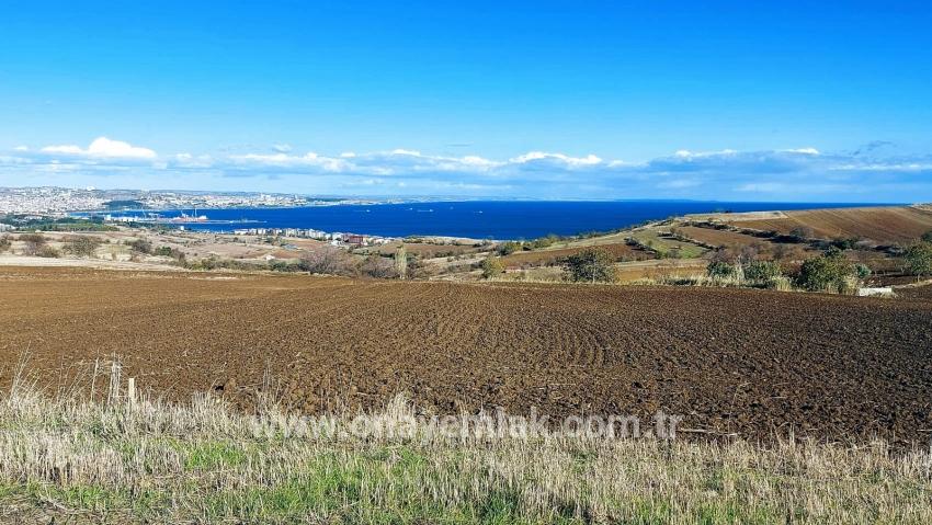 Для продажи Земля в Barbaros Süleymanpaşa Kumbağ - Под Вилла застройку - 6.350 m²