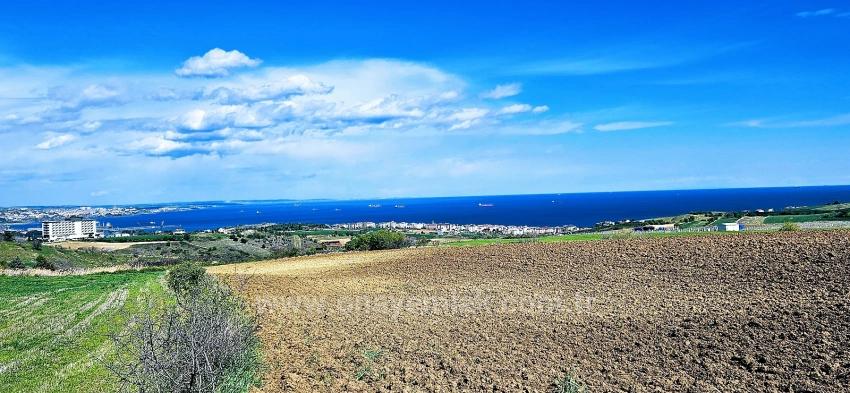 Подайте Заявку На Проект Роскошной Виллы С Почасовой Оплатой, Обеспечьте Высокий Доход, Полный Вид На Море И Природу