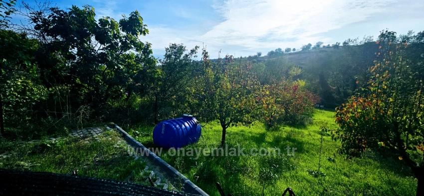 В Правоустанавливающем Документе На Отдельный Участок Нет Доли. Не Устраивайте Пикники И Барбекю По Выходным.