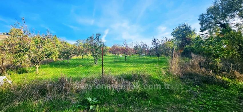 В Правоустанавливающем Документе На Отдельный Участок Нет Доли. Не Устраивайте Пикники И Барбекю По Выходным.