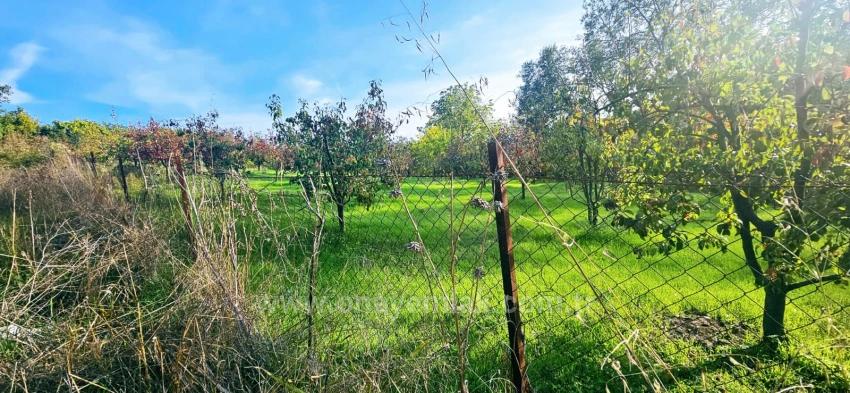 В Правоустанавливающем Документе На Отдельный Участок Нет Доли. Не Устраивайте Пикники И Барбекю По Выходным.