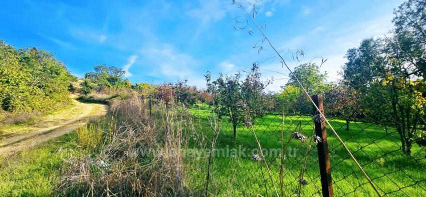 В Правоустанавливающем Документе На Отдельный Участок Нет Доли. Не Устраивайте Пикники И Барбекю По Выходным.