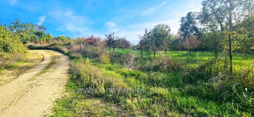 В Правоустанавливающем Документе На Отдельный Участок Нет Доли. Не Устраивайте Пикники И Барбекю По Выходным.
