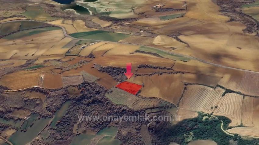 Инвестиционная Возможность: Гарантированно Высокая Прибыль В Краткосрочной Перспективе Для Тех, Кто Хочет Купить И Продать