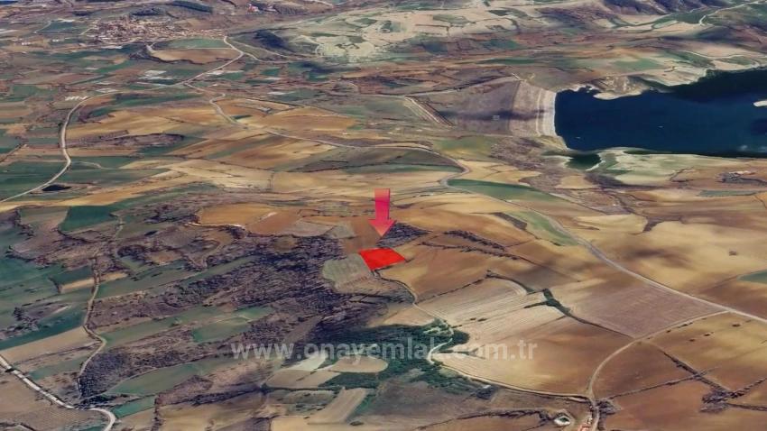 Инвестиционная Возможность: Гарантированно Высокая Прибыль В Краткосрочной Перспективе Для Тех, Кто Хочет Купить И Продать